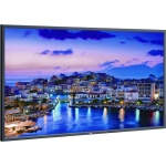 Monitor NEC V801-AVT2