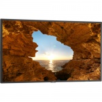 Monitor NEC V484-AVT2