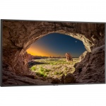 Monitor NEC V554-PC3