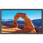 Monitor NEC V323-2-AVT