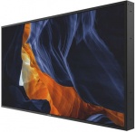 Monitor Philips H-Line 55BDL3202H