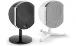 FOCAL Little Bird Kolumna Podstawkowa