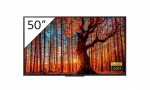 Monitor profesjonalny LED Full HD HDR BRAVIA Sony FWD-50W66F/T