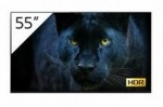 Monitor profesjonalny OLED 4K HDR BRAVIA Sony FWD-55A8/T