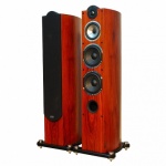 Kolumna podłogowa Taga Harmony Platinum F-100 SE v.2 (para) ROSEWOOD