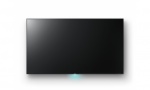 Monitor BRAVIA 4K Sony FW-55X8570C