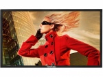 Monitor Viewsonic Commercial LCD Display CDP6530