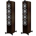 Taga PLATINUM F-120 V.3 Kolumna Podłogowa Wenge