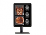 Nio Color 2MP LED (MDNC-2221) 2MP high-bright color display system