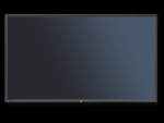 Monitor Wielkoformatowy Nec MultiSync® V801