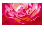 Monitor Wielkoformatowy BenQ PH550