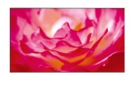 Monitor BenQ PH460