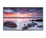 Monitor LG 49" Ultra HD Display 49UH5B