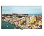 Monitor LG 55" Ultra HD Display 55UH5B