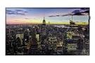 Monitor Samsung SMART Signage QM49F (LH49QMFPLGC/EN)