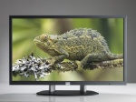LDX-55 55" full HD LED backlit LCD display