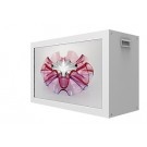 Wyświetlacz transparentny Benq Transparent Box Display TL320C