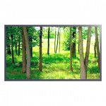 Monitor Hyundai Digital Signage D55AM