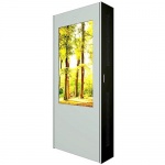 Monitor Hyundai Outdoor Display : Kiosk type H557SDV