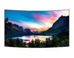 Monitor LG Open-Frame OLED Signage 55EF5C-M2 (Pack of 2)